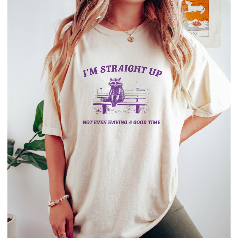 This Is Not A Good Time - Raccoon Drawing T Shirt, Raccoon Meme T Shirt, Sarcastic T Shirt, Unisex.jpg