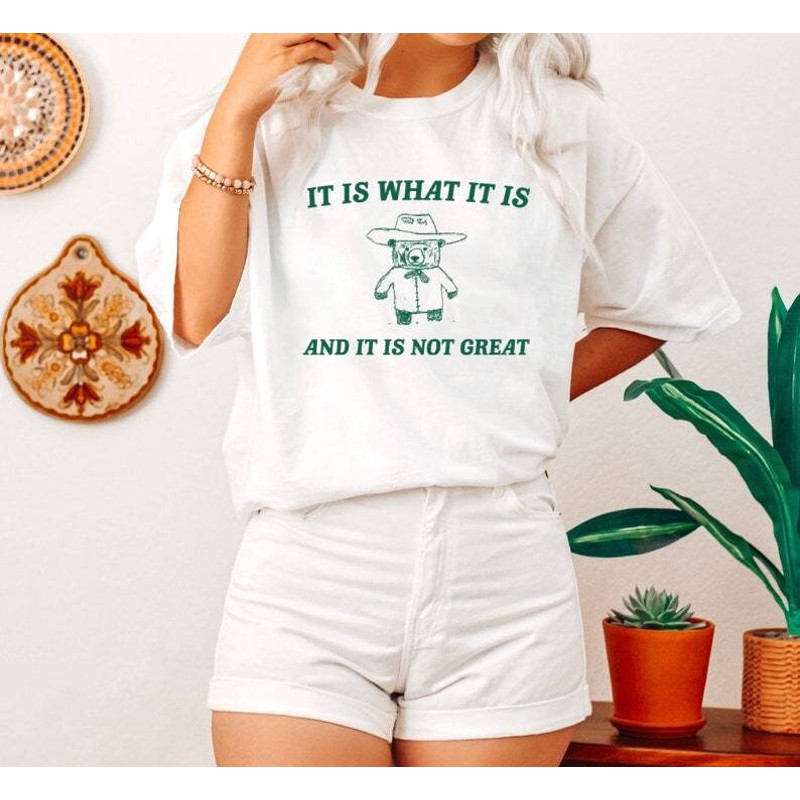 It is what it is and it ain't great Shirt, Cute Sweatshirt, Unisex Hoodie.jpg