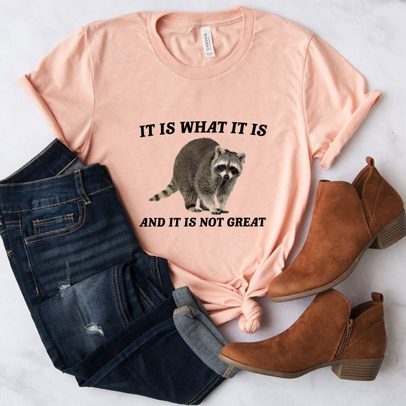 It Is What It Is And It Is Not Great T-shirt Sweatshirt Hoodie - Vintage Drawing T Shirt, Raccoon Meme T Shirt, Funny Trash Panda T Shirt.jpg