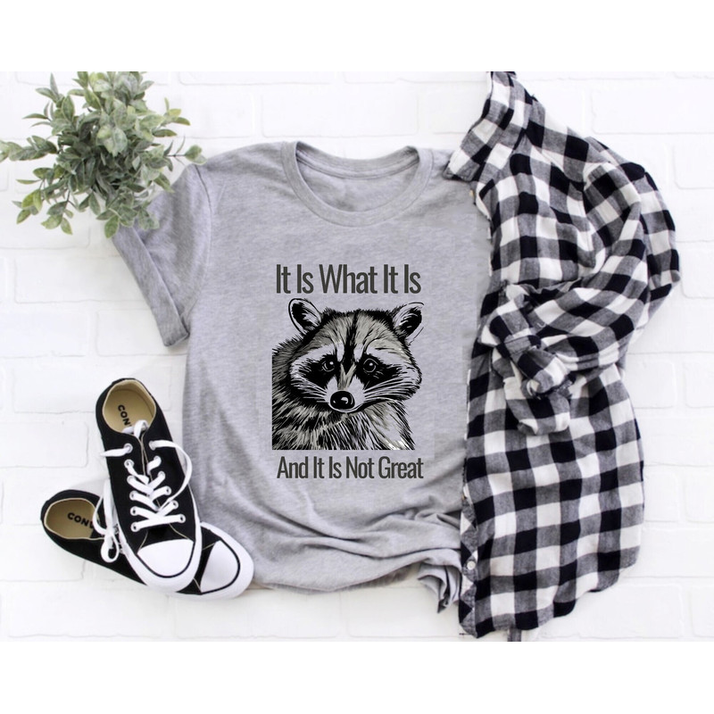 It Is What It Is Sweatshirt, Funny Raccoon Sweatshirt, Funny Gift Shirt, Meme Sweatshirt, Raccoon T-shirt, Vintage Sweatshirt.jpg
