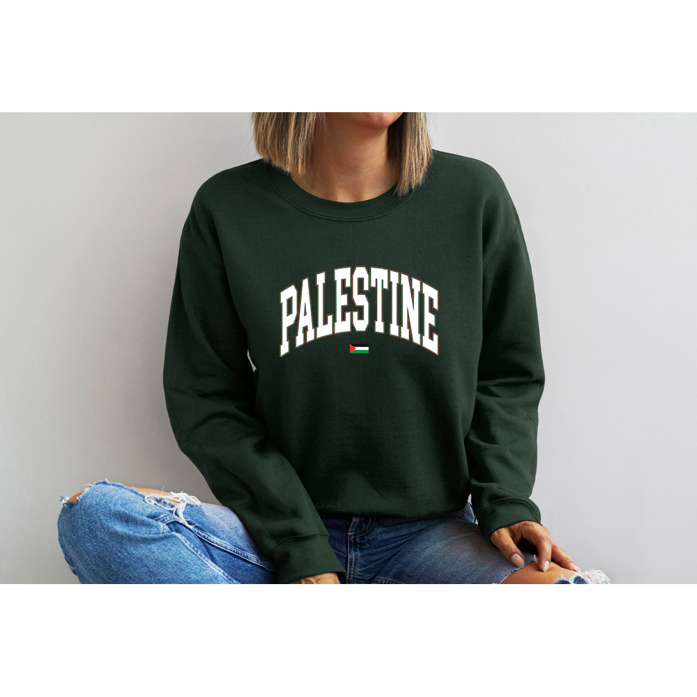 Palestine Sweatshirt, Palestine Hoodie, Palestine Flag Crewneck, Stand With Palestine Sweatshirt, Gaza Unisex College Hoodie,Palestine Gift.jpg