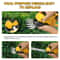 2in1 Cordless Hedge Trimmer Electric Grass Shears Handheld Shrub Trimmer Kit For Garden Lawn Edging 5