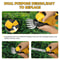 2in1 Cordless Hedge Trimmer Electric Grass Shears Handheld Shrub Trimmer Kit For Garden Lawn Edging 5