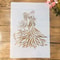 African Beauty Lady Stencil for Wall Painting Scrapbook and DIY Art Template
