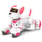 Smart Interactive Robot Dog Toy with Remote Control Dance Music and Programmable Tricks