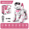Smart Interactive Robot Dog Toy with Remote Control Dance Music and Programmable Tricks
