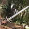 GeraltsSteelSagaUSAVANGUARDLimitedEditionSwordReplicaLegendarySilverSwordWitcher3Sword