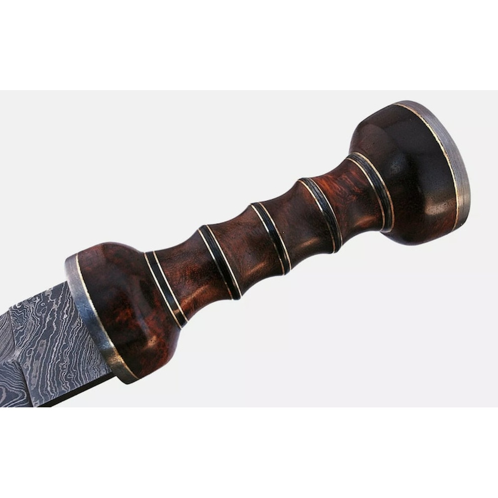 Hand-Forged_Damascus_Steel_Gladiator_Sword_Authentic_Combat_Blade (4).jpg