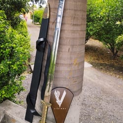 battle ready viking sword of king ragnar - scabbard & plaque included