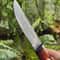 Handmade Carbon Steel Hunting Knife Rosewood Handle Leather Sheath Gift For Hunters 6