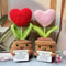 Positive Energy Hug Pocket Heart Flower Potted Plants Handmade Plush Wool Knitting Doll With Card 1
