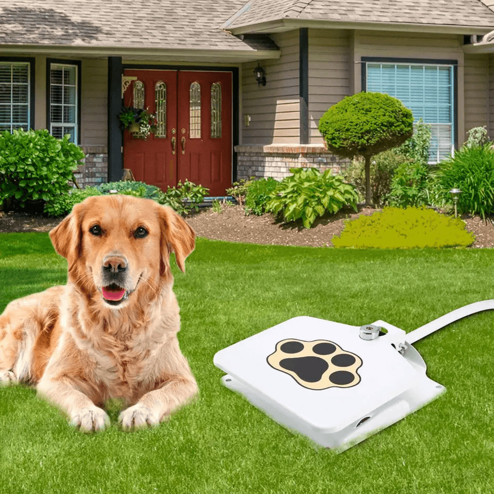 Outdoor Pet Water Fountain With StepOn Pedal Dog Valve Dispenser System For Clean Fresh Drinking Wa 5