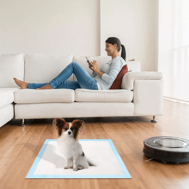 50Pcs House Dog Training Pads Super Absorbent Puppy Pee Pads For Cats Dogs LeakProof Underpads For 4