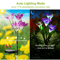 Solar Lily Flower Garden Lights LED Outdoor Pathway Yard Decor Lamp 7Color Changing 5