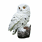 Solar Owl Stake Lights Decorative Outdoor Yard Lighting For Garden Lawn Pathway 6