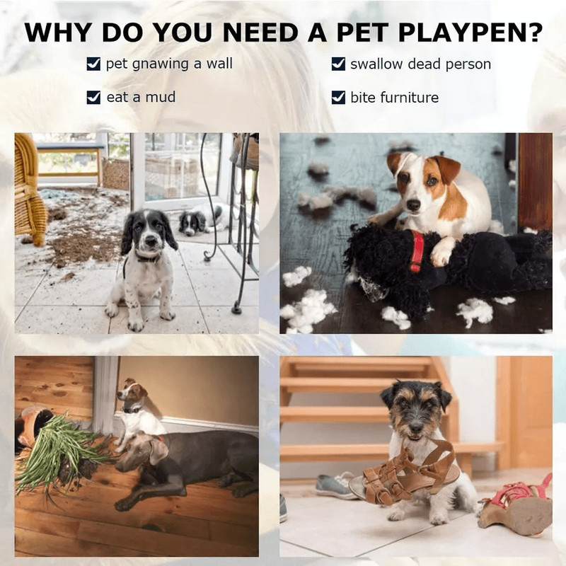 Heavy Duty Large Dog Crate Kennel 48 Steel Pet Cage With Lockable Wheels Removable Tray Ideal For T 2