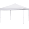 Canopy Tent With Adjustable Straight Legs Wheeled Carry Bag Ropes Waterproof Outdoor Shelter For Ev 4