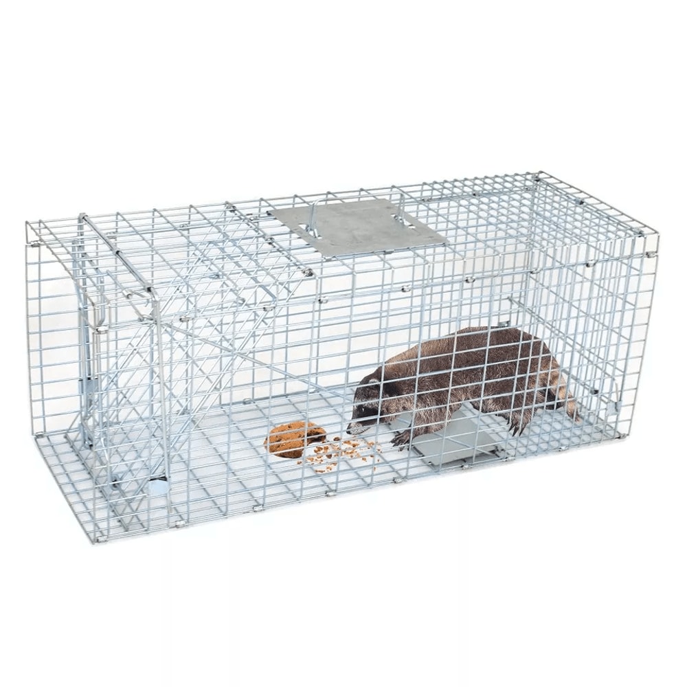Heavy Duty Folding Live Animal Trap Humane Raccoon Cat Small Animal Cage 3