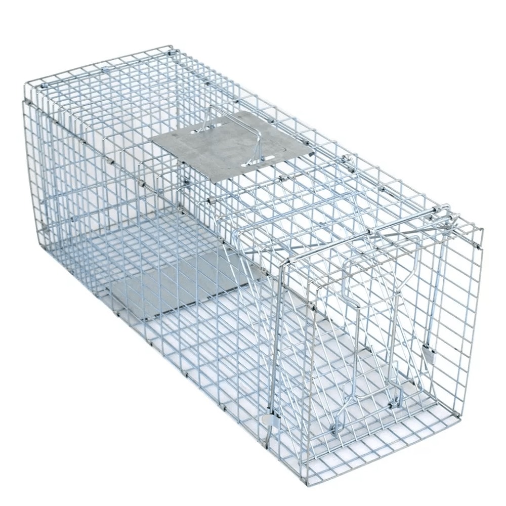 Heavy Duty Folding Live Animal Trap Humane Raccoon Cat Small Animal Cage 1