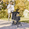Foldable 4 Wheel Pet Stroller For Dogs Cats Black With Cup Holder 1