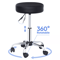 Hydraulic Rolling Stool Swivel Salon Chair Adjustable Height Black Office Tattoo Stool With Wheels 1