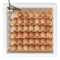White Digital Air Incubator By Farm Innovators Automatic Egg Turner Egg Hatch LED Display  Candler  5
