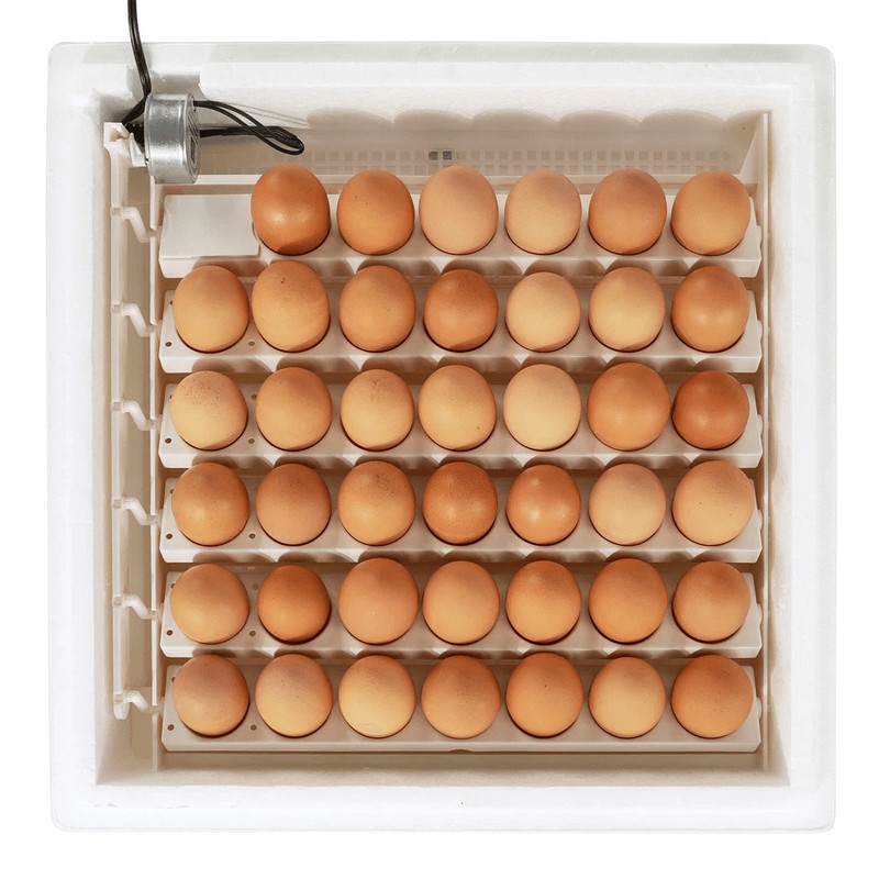 White Digital Air Incubator By Farm Innovators Automatic Egg Turner Egg Hatch LED Display  Candler  5