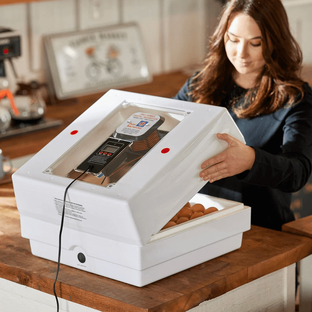 White Digital Air Incubator By Farm Innovators Automatic Egg Turner Egg Hatch LED Display  Candler  3