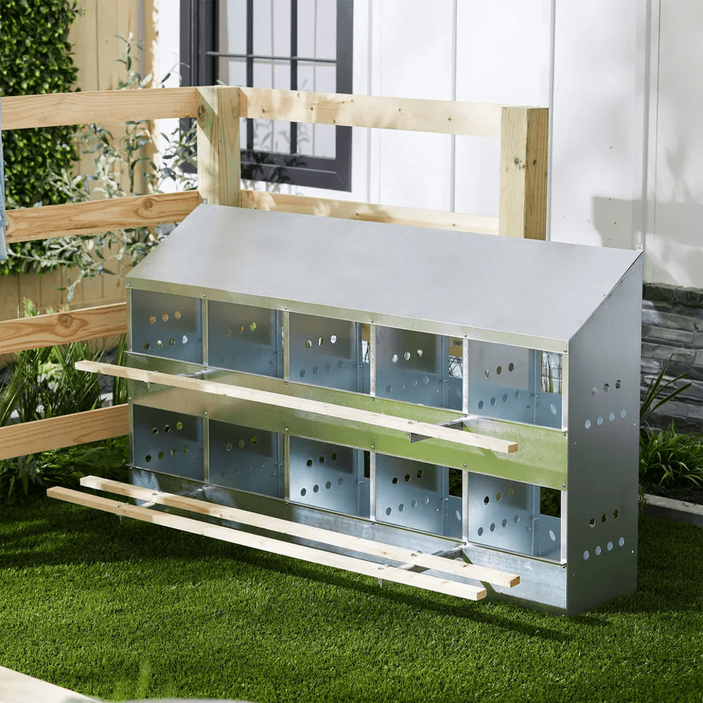 Brower Galvanized Steel 10Hole Poultry Nest Fits 5060 Hens Durable Chicken Brooding Box For Coop O 2