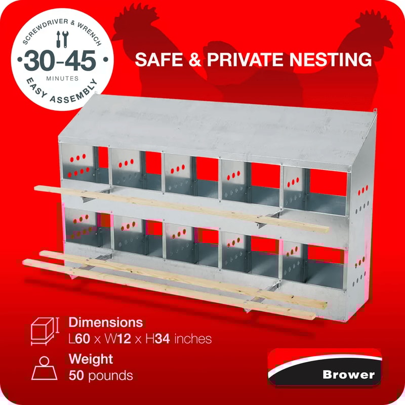 Brower Galvanized Steel 10 Hole Poultry Nest Box Fits Chickens Durable Brooding Solution 2