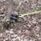 Brush Grubber Original Brush Small Tree Stump Root Puller Remover Tool HeavyDuty Tractor Attachment 2