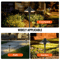 12 Pack Low Voltage Landscape Path Lights 1224V Outdoor LED Pathway Lighting  IP66 Waterproof 3W Re 5