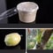 SelfAdhesive PE Grafting Tape For Plants Stretchable Waterproof Tree Grafting Film For Fruit Trees 3