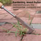 Precision L Shape Stainless Steel Garden Weed Removal Tool Heavy Duty Gap Crack Hand Weeder 1
