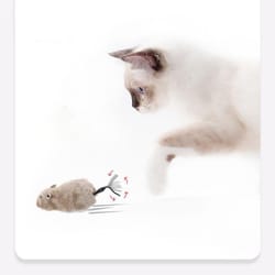 realistic plush mouse cat toy for interactive pet play & hunting fun