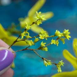 TUTORIAL Miniature forsythia with air dry clay | Dollhouse miniatures | Miniature plant tutorial