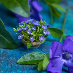 Miniature Vinca with air dry clay in a ceramic pot | Dollhouse miniatures