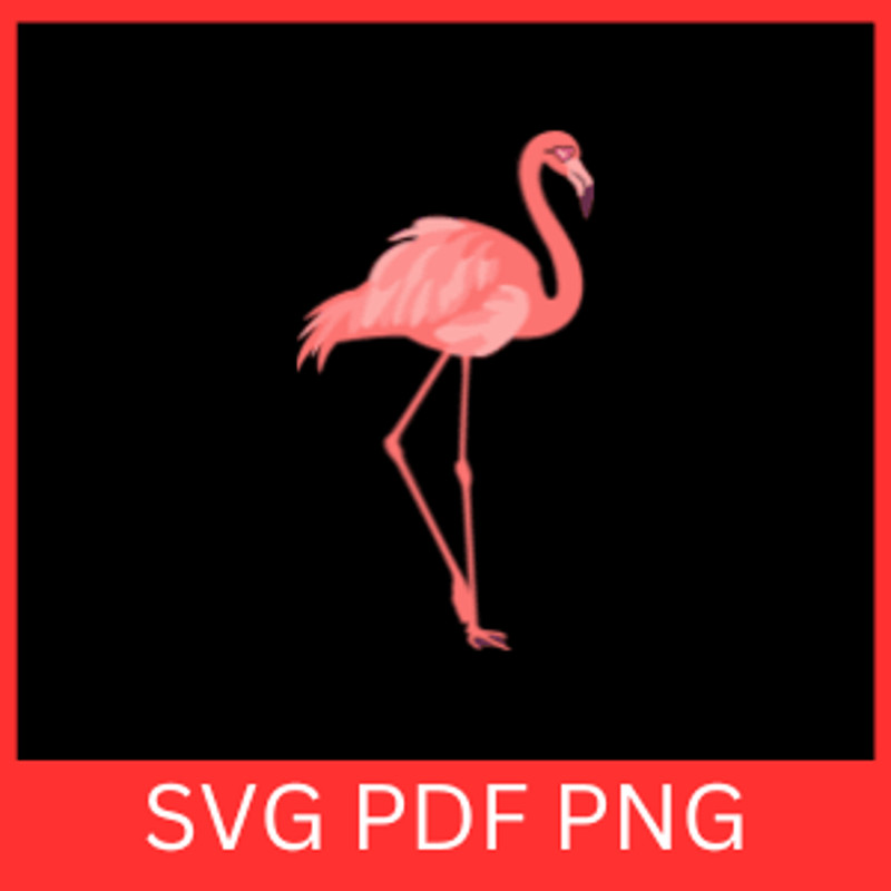 Pink Flamingo SVG Flamingo Clipart Svg Bird SVG Flamingo Designs Flamingo Vector Cute Flamingo SvgC 0