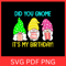 Did You Gnome It Is My Birthday SVG Birthday Gnomes Svg Happy Birthday Svg Birthday Party Svg Gnome 0