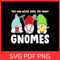 You Can Never Have Too Many Gnomes Svg Merry Christmas Svg Cute Garden Svg Flower Gnomes Svg Gnome 0