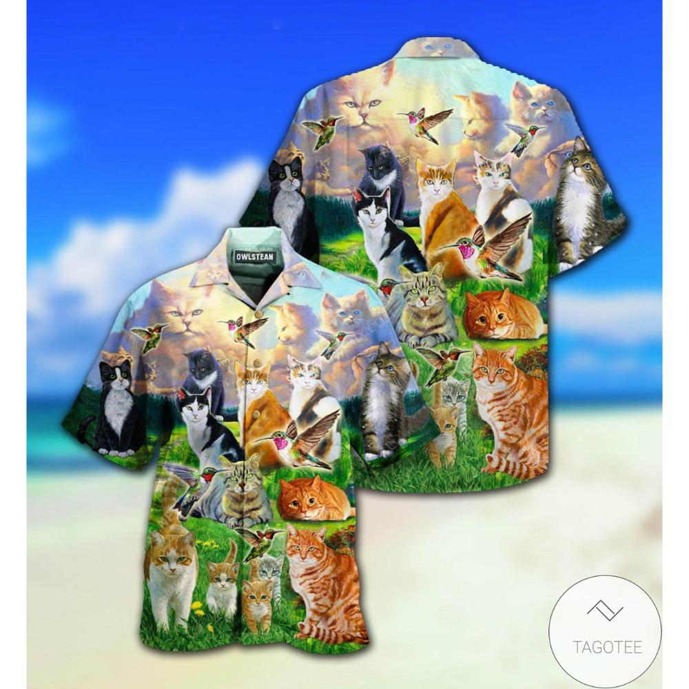 All Cats Go To Heaven Hawaiian Shirt.jpg