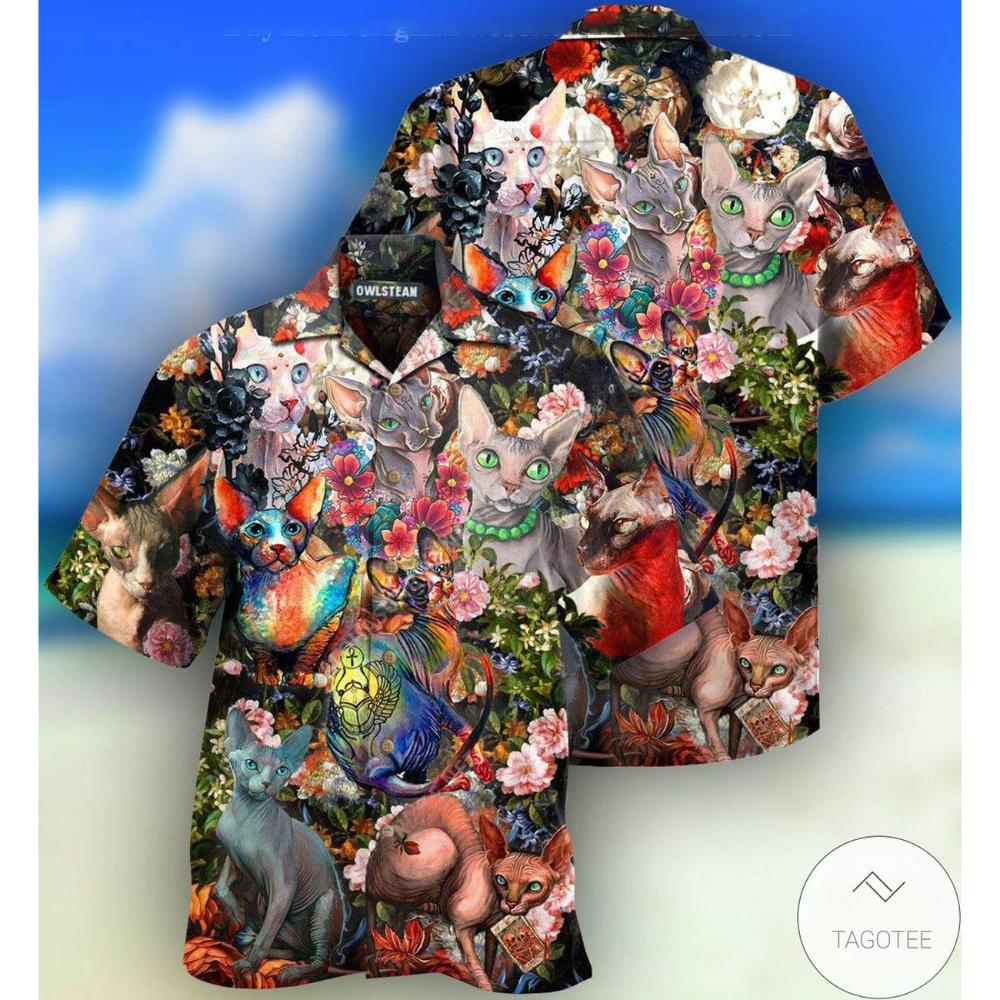 All I Need Is Sphynx Cats Hawaiian Shirt.jpg