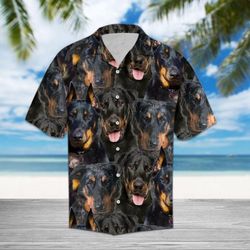 beauceron hawaiian shirt summer button up