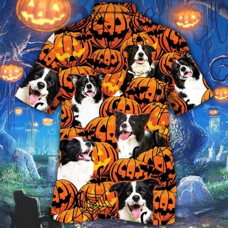 Border Collie Dog Halloween Pumpkin Hawaiian Shirt.jpg