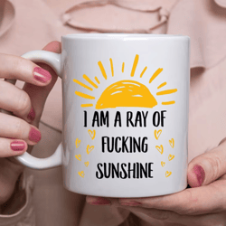 im a ray of fcking sunshine funny sarcastic white mug coffee mug