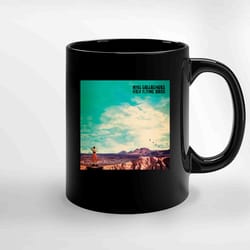 noel gallagher flying birds ceramic mug, funny coffee mug, gift mug