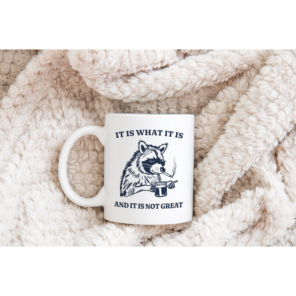 It Is What It Is And It Is Not Great Mug, Raccoon Meme Mug, Funny Vintage Drawing Coffee Cup, Mood Gifts, Funny Trash Panda Mug.jpg