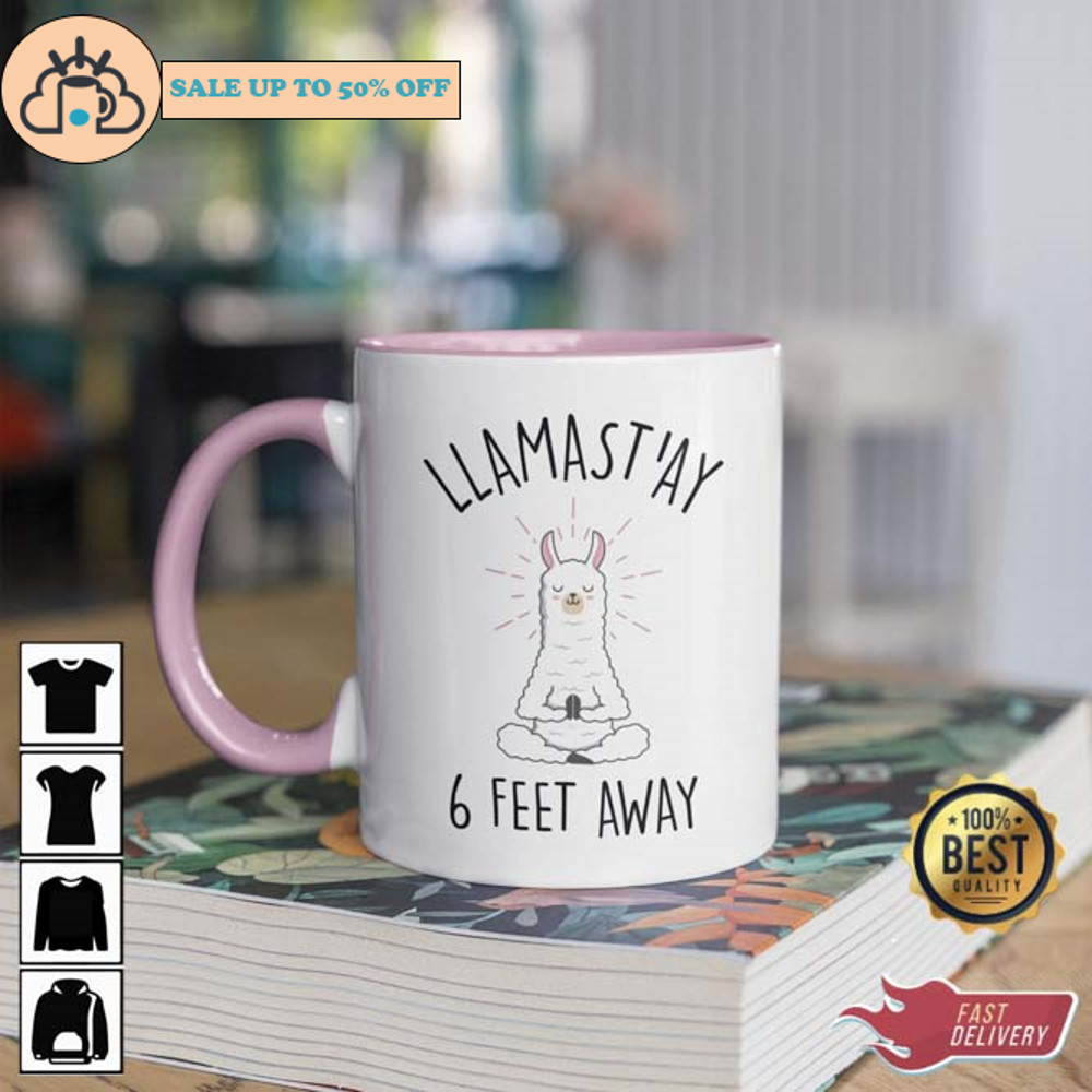 Stay 6 Feet Away Llama Mug.jpg