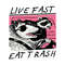 Live Fast Eat Trash Funny Raccoon SVG File For Cricut.jpg