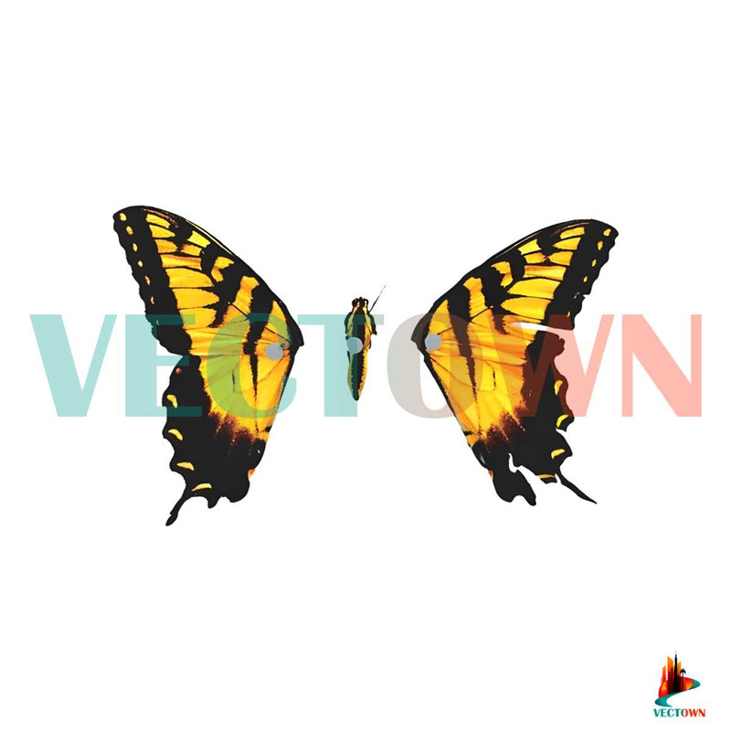 Band New Eyes Paramore This Is Why Tour 2023 PNG File.jpg
